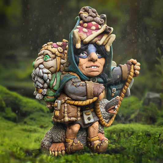 Rogue Guardian Gnome